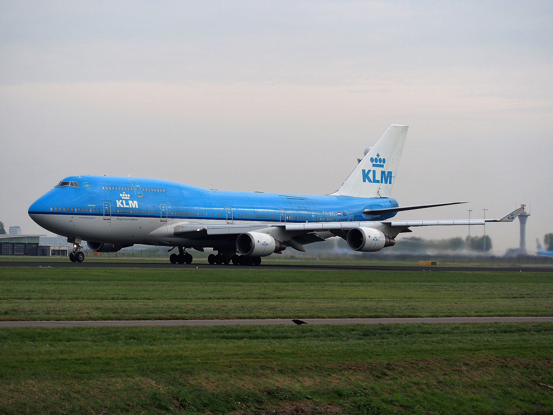 מטוס KLM בסכיפהול