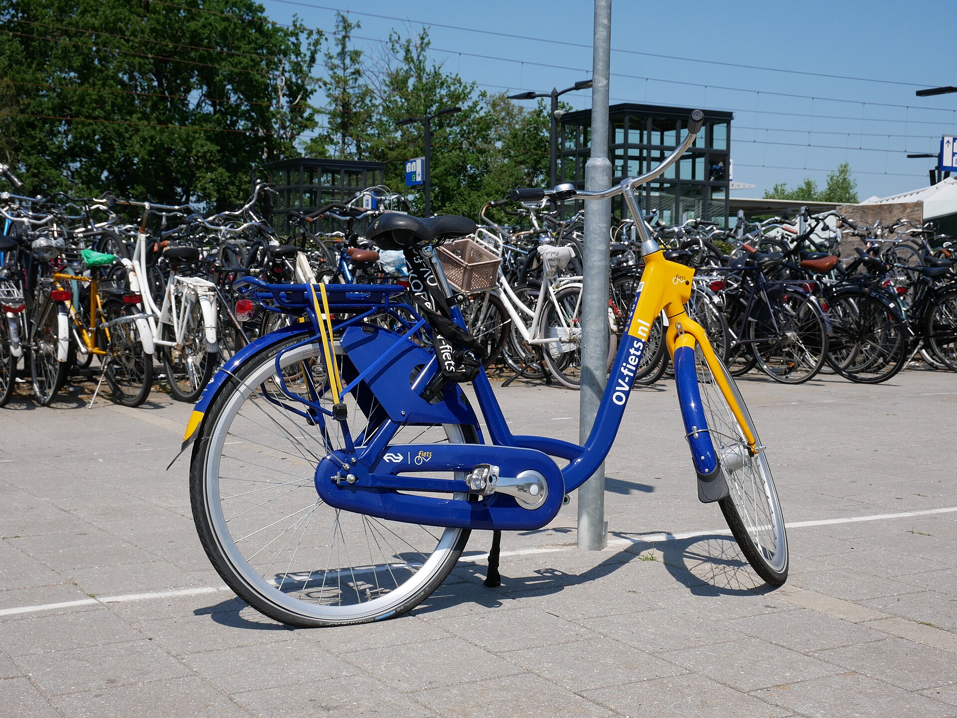 אופני OV-fiets חונים בתחנת רכבת בהולנד